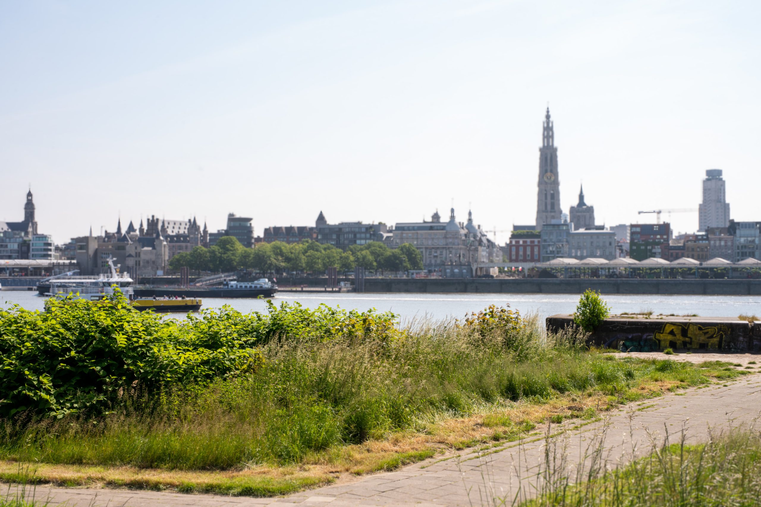 Zorgcampus Hof ter Schelde | Naar Hof ter Schelde
