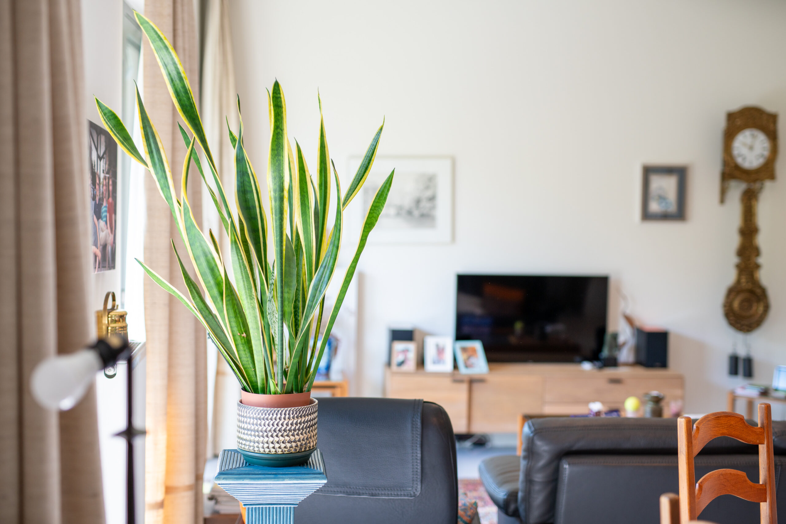 Zorgcampus Hof ter Schelde | Assistentiewoningen
